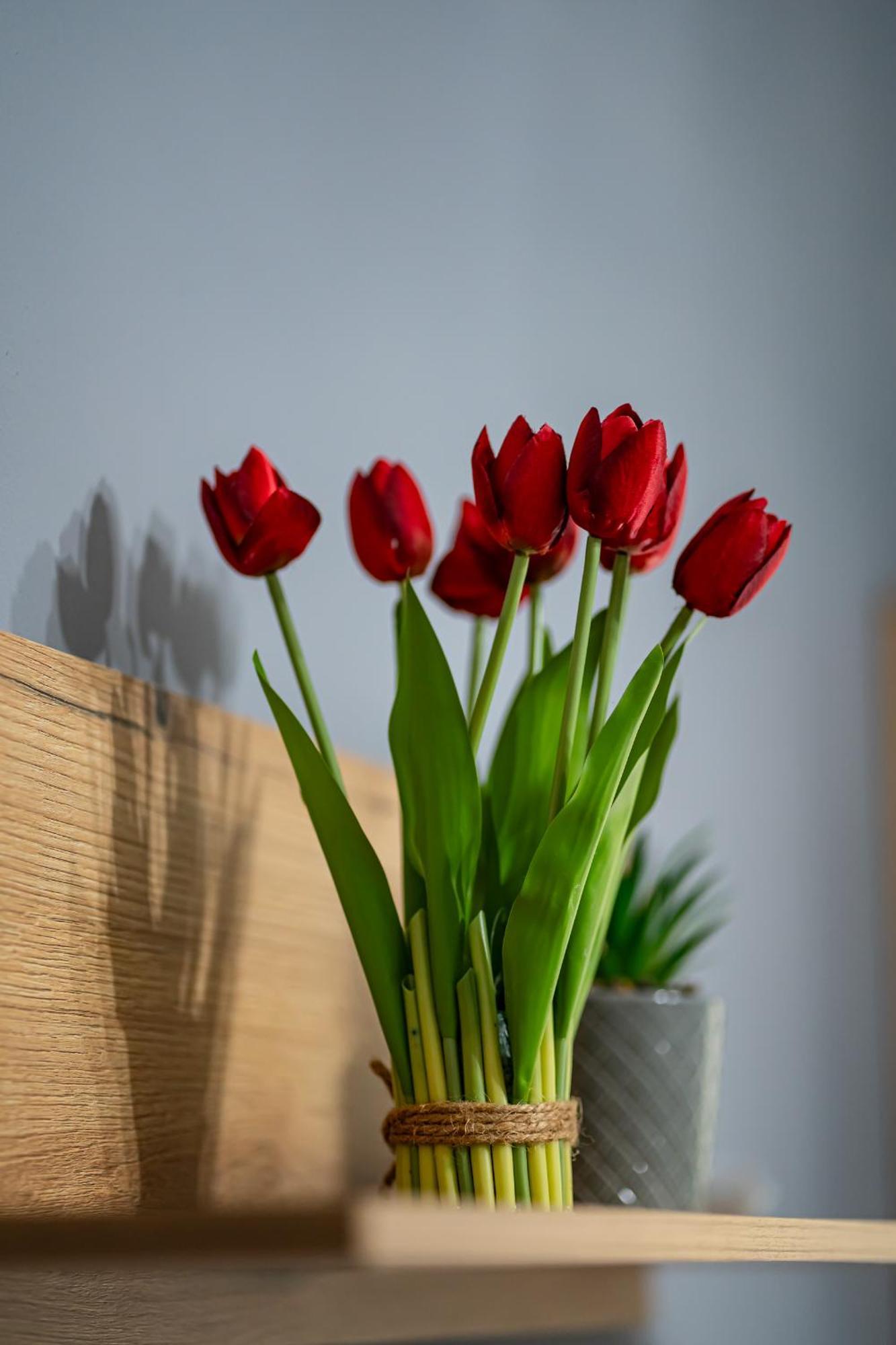 Feel Greek Hospitality #Θ006 Apartment เทสซาโลนิกิ ภายนอก รูปภาพ